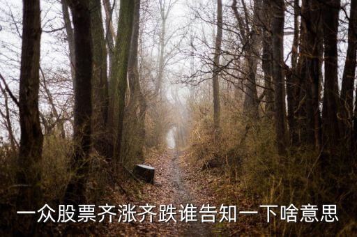 股票量?jī)r(jià)齊跌意味著什么，這幾天大盤(pán)量?jī)r(jià)齊跌從技術(shù)角度說(shuō)明什么