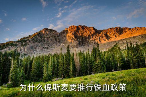什么是鐵血政策，鐵血政策鐵和血分別指什么