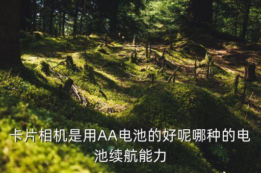 贛通卡機(jī)身用什么電池，UPS普遍使用的電池是什么電池