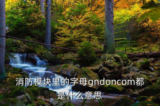 螞蟻微服是什么，消防模塊里的字母gndoncom都是什么意思