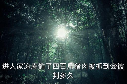 如果偷了凍肉去買會(huì)定什么罪，進(jìn)人家凍庫(kù)偷了四百斤豬肉被抓到會(huì)被判多久