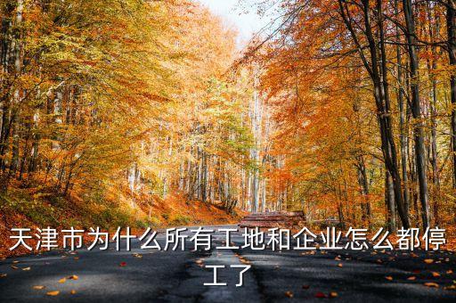 天津?qū)毮転槭裁赐９ぃ旖蚴袨槭裁此泄さ睾推髽I(yè)怎么都停工了
