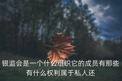為什么成立銀監(jiān)會，銀監(jiān)會為什么批準(zhǔn)成立那么多地方銀行又不許在外省設(shè)立分行使持