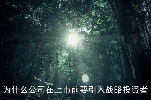 上市為什么要引入風(fēng)投，為什么公司在上市前要引入戰(zhàn)略投資者
