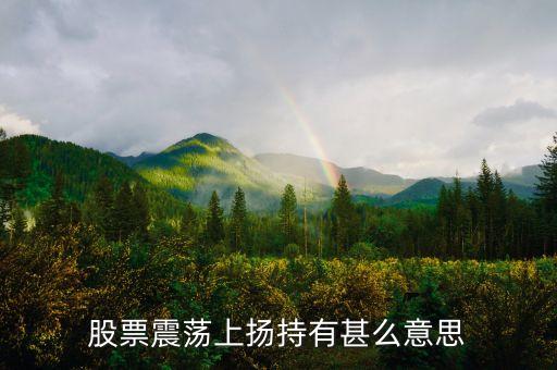 股票中的震蕩上行是什么，什么是震蕩上行