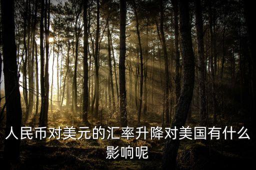 人民幣對(duì)美元的匯率升降對(duì)美國有什么影響呢
