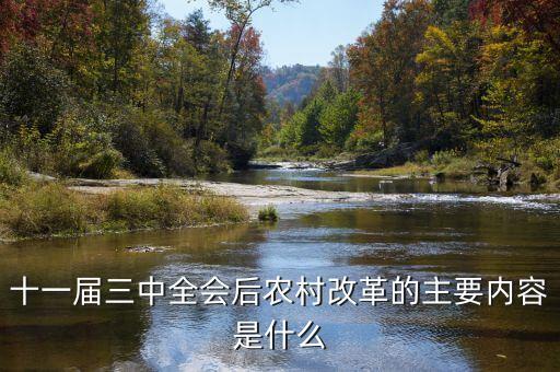 中國農(nóng)村改革到2020年是什么樣的，十一屆中全會后農(nóng)村改革的主要內(nèi)容是什么