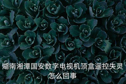 國安樂視什么情況，樂視最近出啥大事了