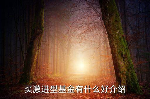 買(mǎi)激進(jìn)型基金有什么好介紹