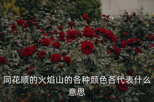 同花順的火焰山的各種顏色各代表什么意思