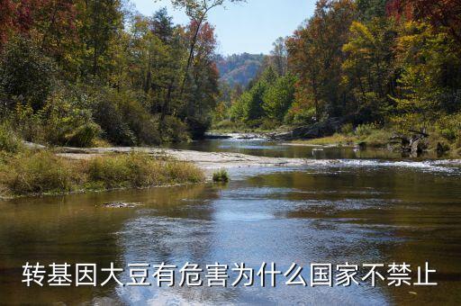 為什么說(shuō)轉(zhuǎn)基因大豆會(huì)致癌，轉(zhuǎn)基因大豆有危害為什么國(guó)家不禁止