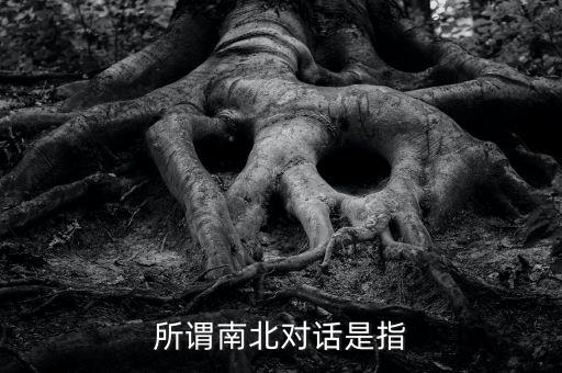 所謂南北對話是指