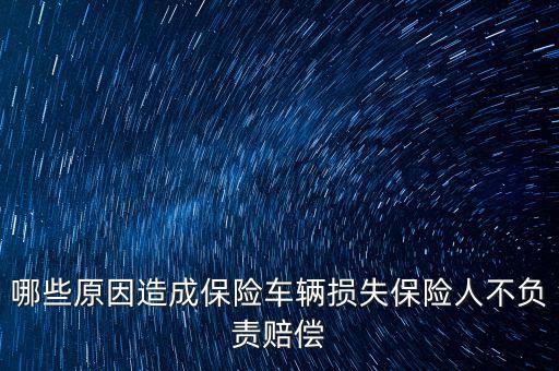 哪些原因造成保險車輛損失保險人不負責賠償