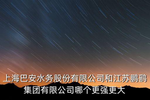 上海巴安是什么股，上海巴安水務(wù)股份有限公司和江蘇鵬鷂集團(tuán)有限公司哪個(gè)更強(qiáng)更大