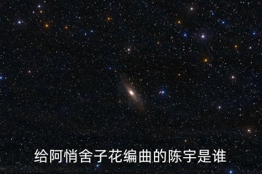 陳宇是誰什么什么，給阿悄舍子花編曲的陳宇是誰