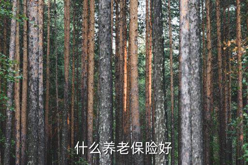 養(yǎng)老保險什么好，什么養(yǎng)老保險好