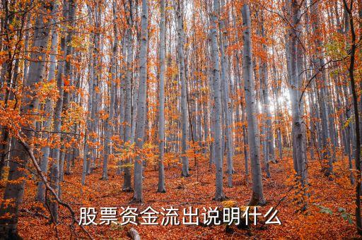 股票資金流出說明什么