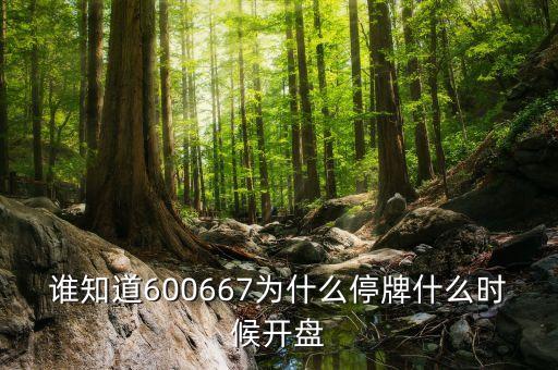 誰知道600667為什么停牌什么時候開盤