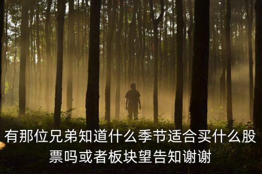 秋天什么股，秋季什么板塊股票好