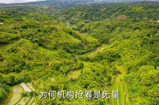 機(jī)構(gòu)搶籌什么意思，股市中機(jī)構(gòu)搶籌是好事還是壞事