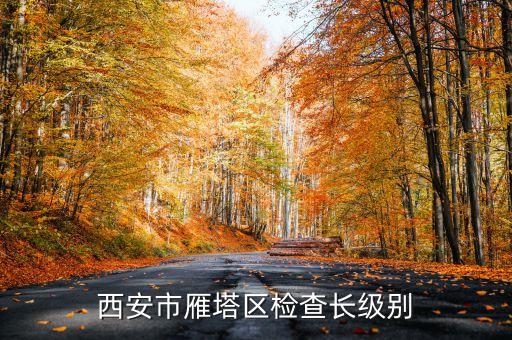 西安市正局級是什么級別，碑林分局局長級別是什么級別