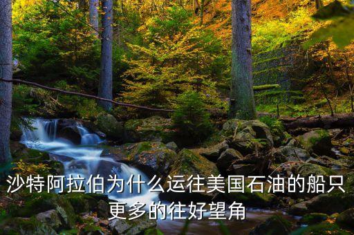 沙特國王的閘門是指什么，沙特國王到中國帶電體做什么