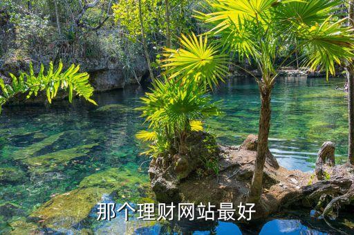 那個(gè)理財(cái)網(wǎng)站最好