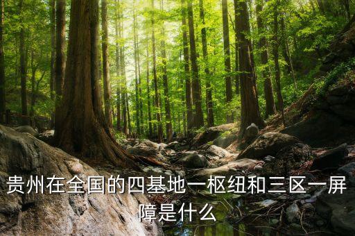 貴州在全國(guó)的四基地一樞紐和三區(qū)一屏障是什么
