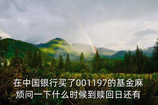 001197是什么風險等級基金，001197基金今天凈值大成