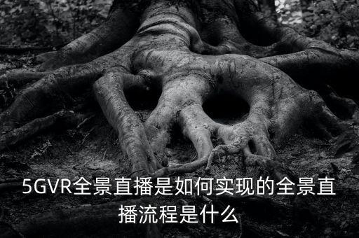 vr直播是什么，VR直播和我們現(xiàn)在看到的平面直播到底有什么區(qū)別