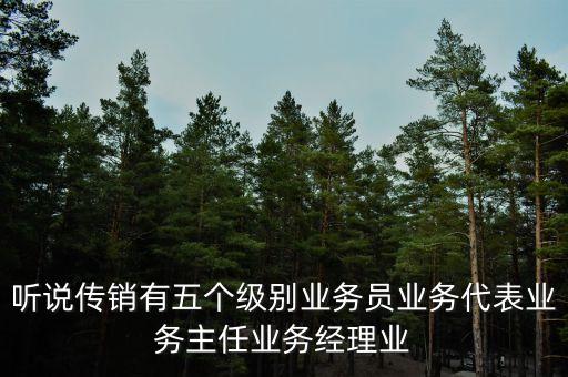 傳銷的最高級別是什么，聽說傳銷有五個級別業(yè)務員業(yè)務代表業(yè)務主任業(yè)務經理業(yè)
