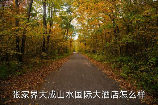 大成山水國(guó)際酒店毛致平是個(gè)什么人，大成山水老總毛致平是哪年出生的