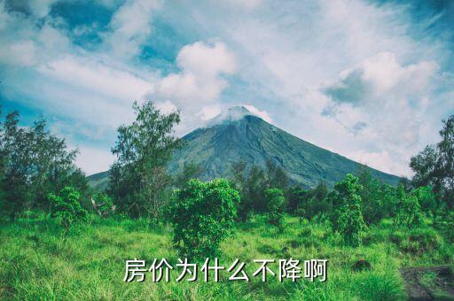 中國房價為什么不會跌，為什么很多專家斷定房價不會大跌
