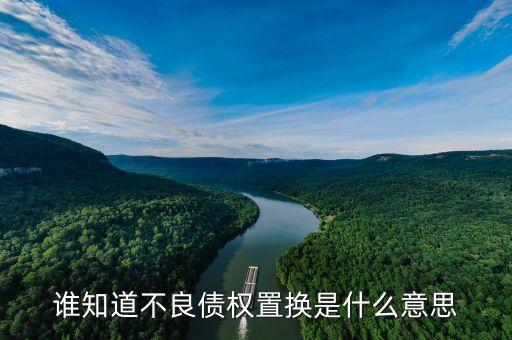 什么是不良資產(chǎn)置換，誰(shuí)知道不良債權(quán)置換是什么意思
