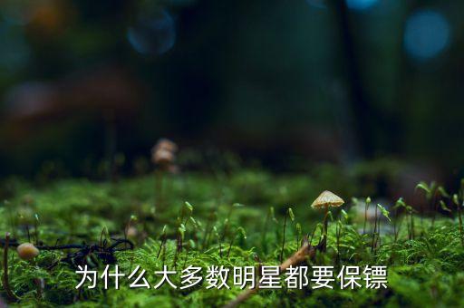 大佬們?yōu)槭裁匆浔ｇS，為什么大多數(shù)明星都要保鏢