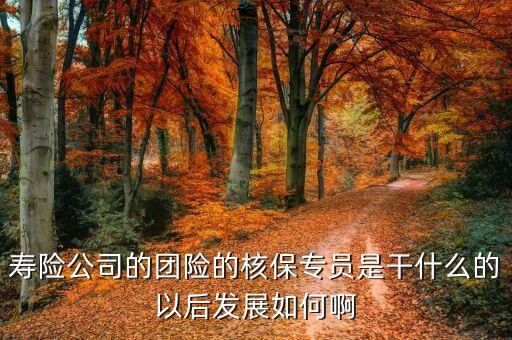 團險專員都做什么，團險專員做什么
