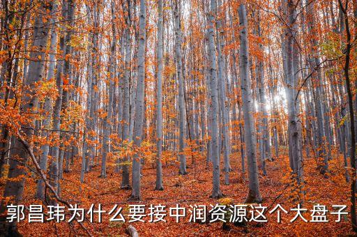 中潤資源為什么停牌，000506中潤資源停牌多久可以復(fù)牌