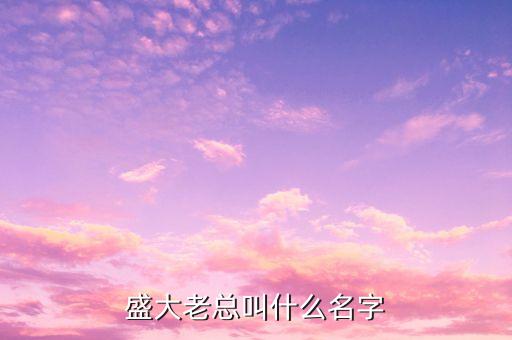 盛大老板叫什么，盛大老板叫什么名字