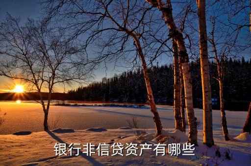 非信貸業(yè)務(wù)是什么，什么是銀行的非信貸資產(chǎn)