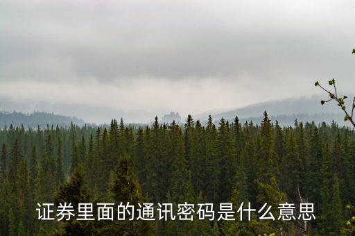 聯(lián)訊證券通訊密碼是什么，證券里面的通訊密碼是什么意思