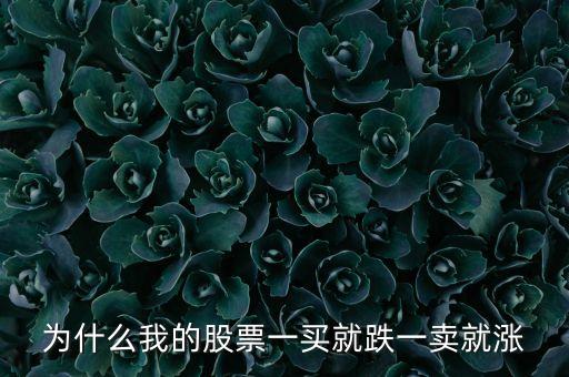 為什么我的股票一買(mǎi)就跌一賣(mài)就漲