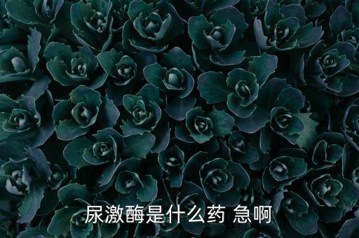 凱石是什么藥，尿激酶是什么藥 急啊