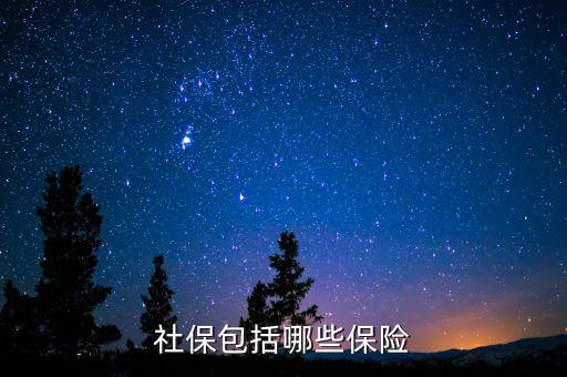 社保保險保些什么，社會保險包括哪些險