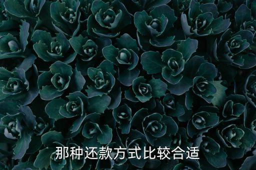 那種還款方式比較合適