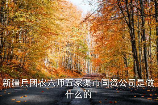 兵團國資公司是什么級別，新疆生產(chǎn)建設兵團級別是什么級別