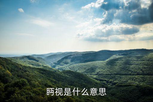 眄視是什么意思