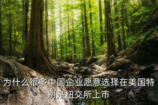 為什么很多中國企業(yè)愿意選擇在美國特別是紐交所上市