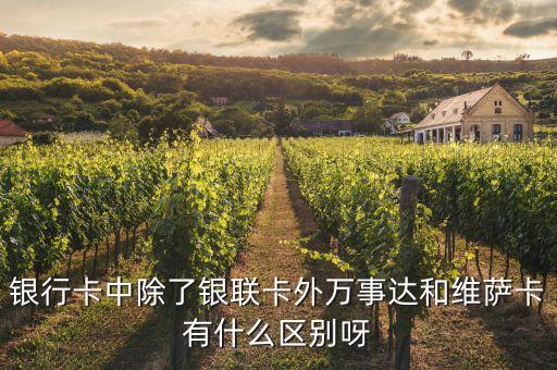 什么是維薩卡，什么是萬(wàn)事達(dá)卡 維薩卡怎么才能辦上