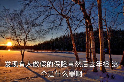 什么是做假保單，發(fā)現(xiàn)有人做假的保險單然后去年檢 這個是什么罪啊