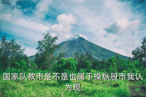 國家隊(duì)救市指的是什么，國家隊(duì)救市指的是什么